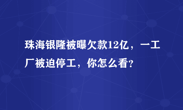 珠海银隆被曝欠款12亿，一工厂被迫停工，你怎么看？