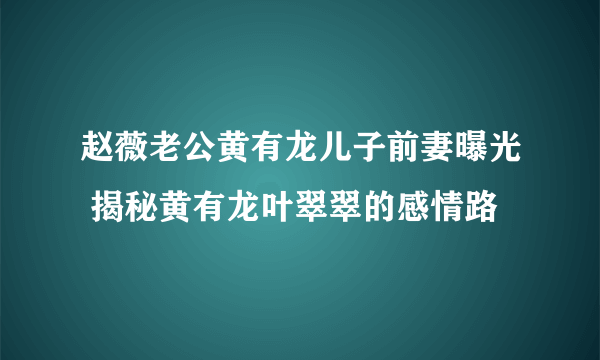 赵薇老公黄有龙儿子前妻曝光 揭秘黄有龙叶翠翠的感情路