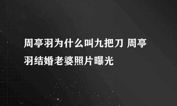 周亭羽为什么叫九把刀 周亭羽结婚老婆照片曝光