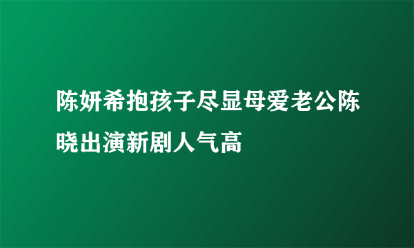 陈妍希抱孩子尽显母爱老公陈晓出演新剧人气高