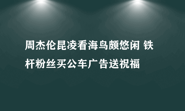 周杰伦昆凌看海鸟颇悠闲 铁杆粉丝买公车广告送祝福