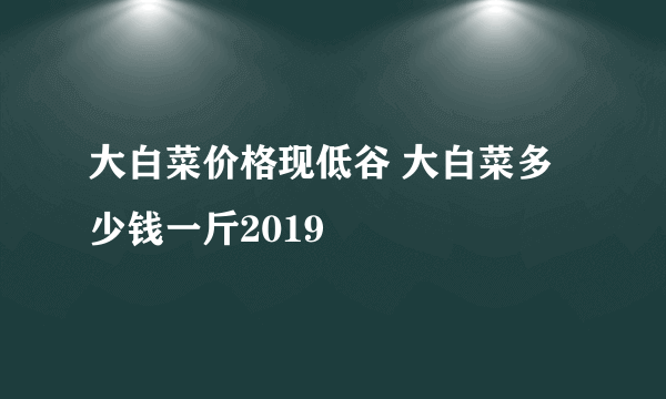 大白菜价格现低谷 大白菜多少钱一斤2019