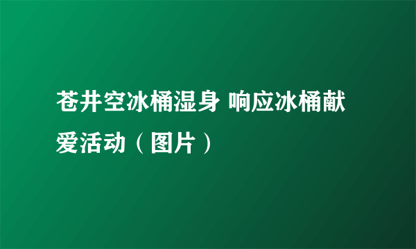 苍井空冰桶湿身 响应冰桶献爱活动（图片）