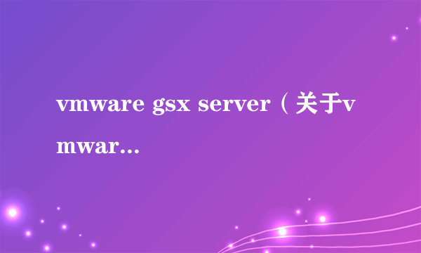 vmware gsx server（关于vmware gsx server的简介）