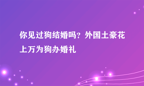 你见过狗结婚吗？外国土豪花上万为狗办婚礼