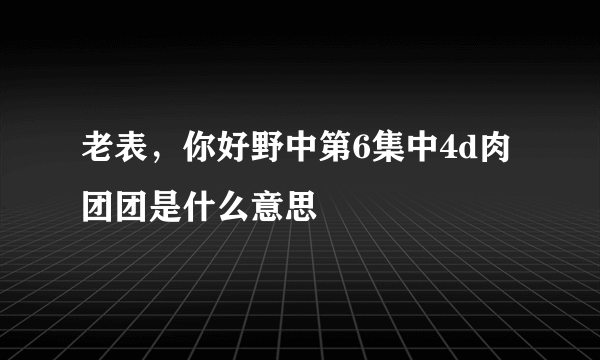 老表，你好野中第6集中4d肉团团是什么意思