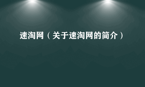 速淘网（关于速淘网的简介）