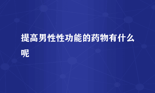 提高男性性功能的药物有什么呢