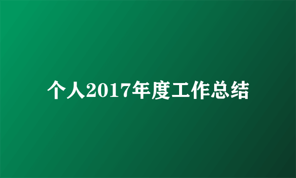 个人2017年度工作总结