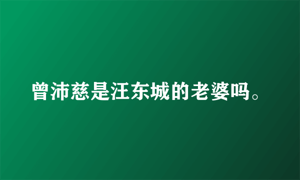 曾沛慈是汪东城的老婆吗。