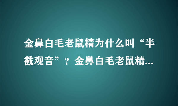 金鼻白毛老鼠精为什么叫“半截观音”？金鼻白毛老鼠精是什么来历？