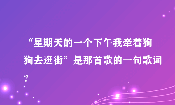 “星期天的一个下午我牵着狗狗去逛街”是那首歌的一句歌词？