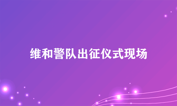 维和警队出征仪式现场