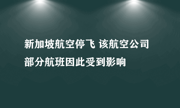 新加坡航空停飞 该航空公司部分航班因此受到影响