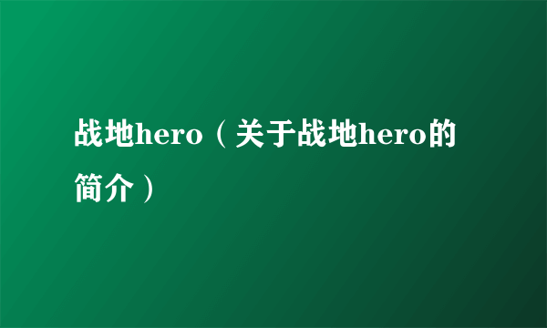 战地hero（关于战地hero的简介）