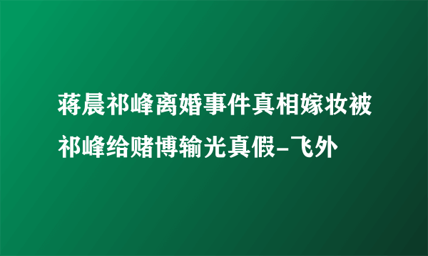 蒋晨祁峰离婚事件真相嫁妆被祁峰给赌博输光真假-飞外