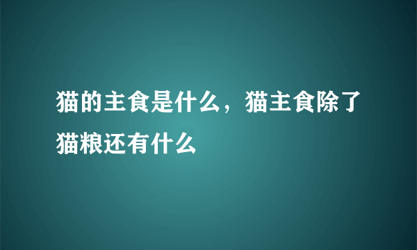 猫的主食是什么，猫主食除了猫粮还有什么