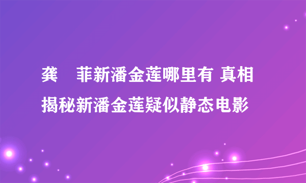 龚玥菲新潘金莲哪里有 真相揭秘新潘金莲疑似静态电影