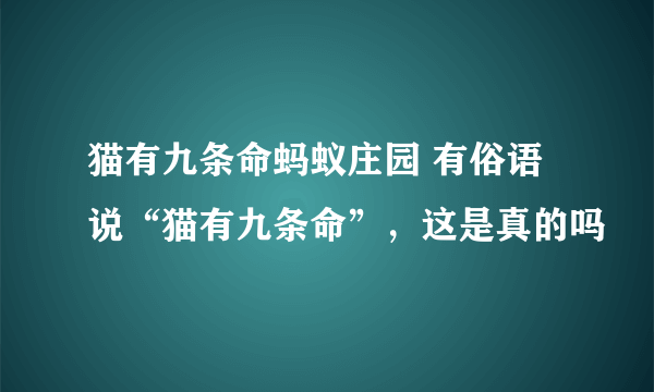 猫有九条命蚂蚁庄园 有俗语说“猫有九条命”，这是真的吗