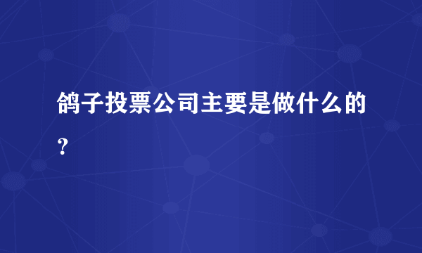 鸽子投票公司主要是做什么的？