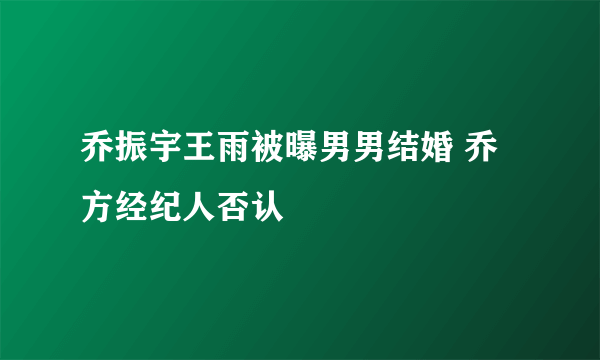 乔振宇王雨被曝男男结婚 乔方经纪人否认