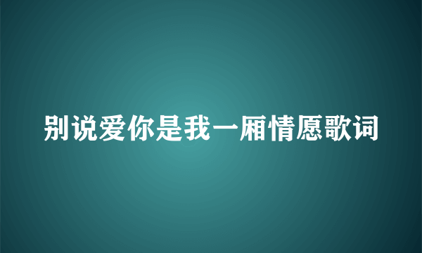 别说爱你是我一厢情愿歌词