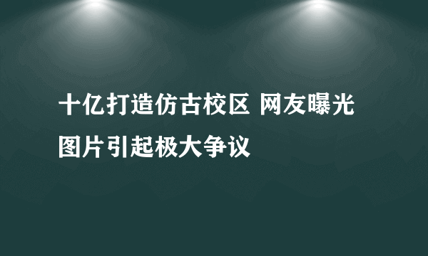 十亿打造仿古校区 网友曝光图片引起极大争议