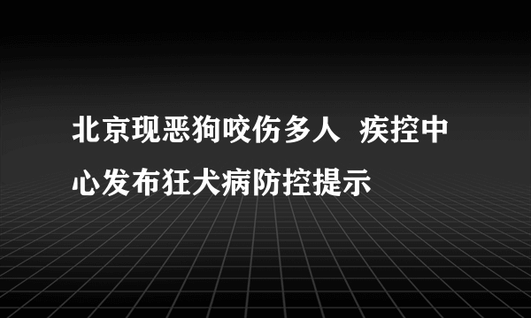 北京现恶狗咬伤多人  疾控中心发布狂犬病防控提示