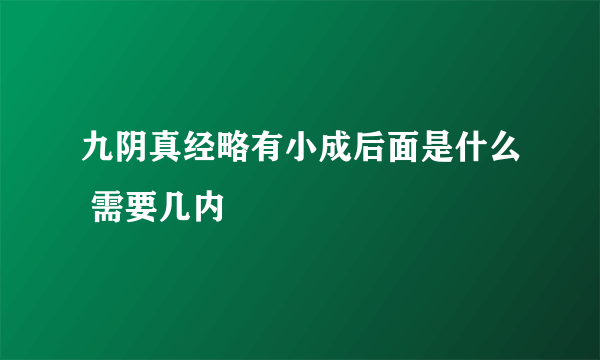 九阴真经略有小成后面是什么 需要几内