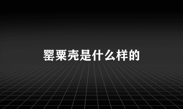 罂粟壳是什么样的