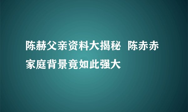 陈赫父亲资料大揭秘  陈赤赤家庭背景竟如此强大