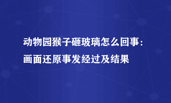 动物园猴子砸玻璃怎么回事：画面还原事发经过及结果