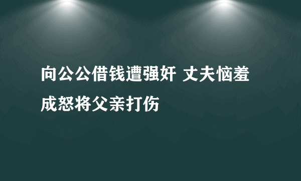 向公公借钱遭强奸 丈夫恼羞成怒将父亲打伤