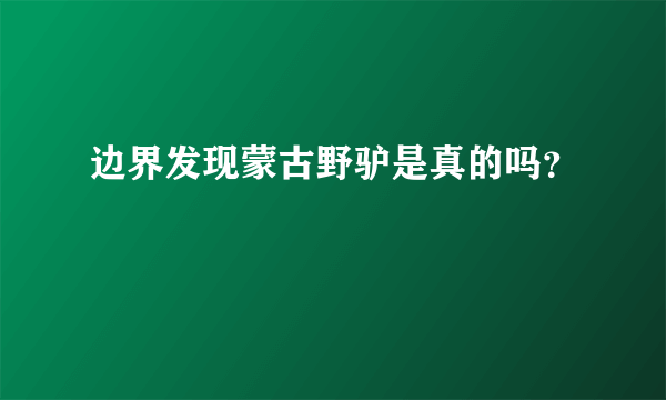 边界发现蒙古野驴是真的吗？