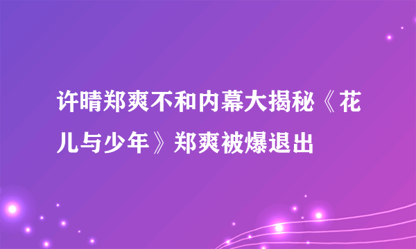 许晴郑爽不和内幕大揭秘《花儿与少年》郑爽被爆退出