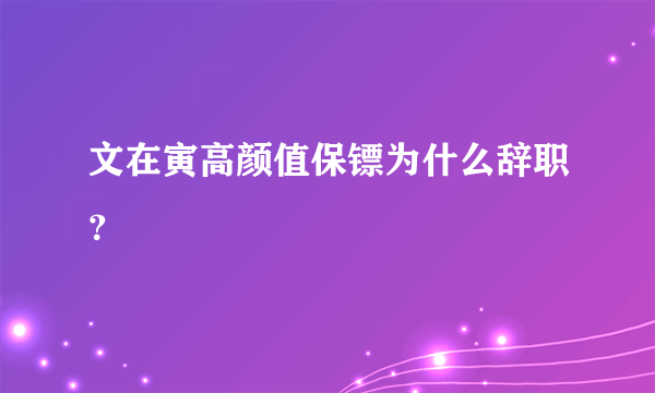 文在寅高颜值保镖为什么辞职？