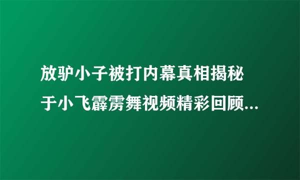 放驴小子被打内幕真相揭秘 于小飞霹雳舞视频精彩回顾_飞外网