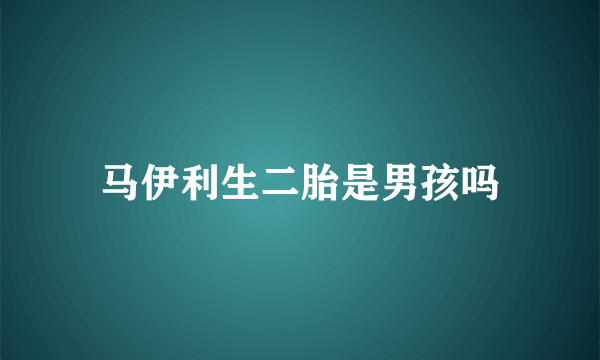 马伊利生二胎是男孩吗