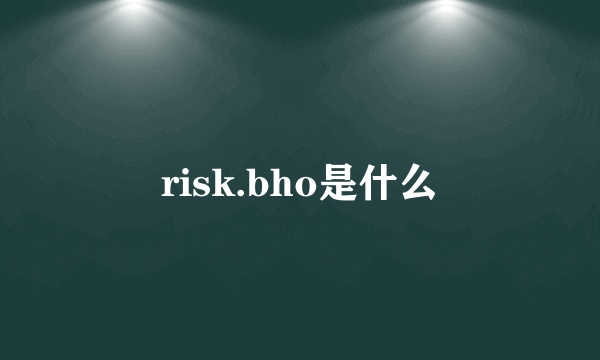 risk.bho是什么