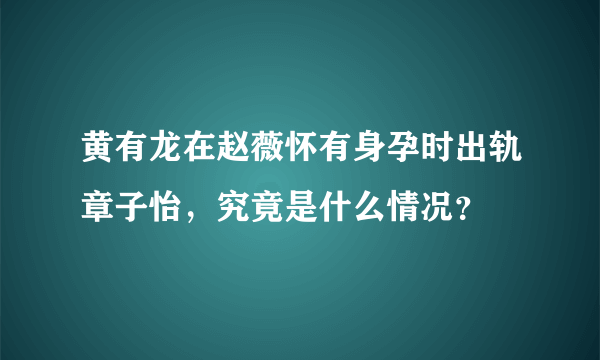 黄有龙在赵薇怀有身孕时出轨章子怡，究竟是什么情况？