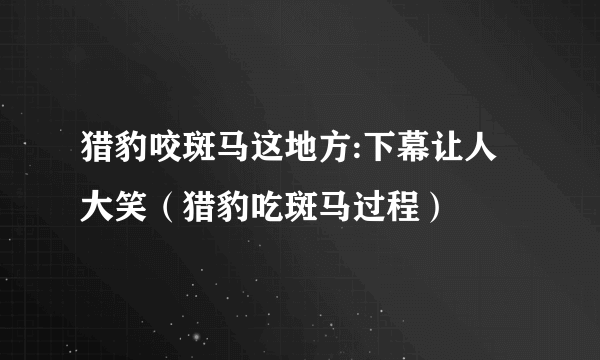 猎豹咬斑马这地方:下幕让人大笑（猎豹吃斑马过程）