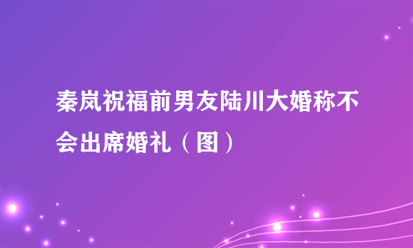 秦岚祝福前男友陆川大婚称不会出席婚礼（图）