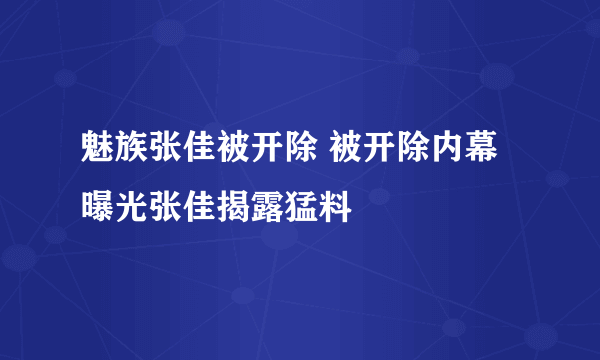 魅族张佳被开除 被开除内幕曝光张佳揭露猛料