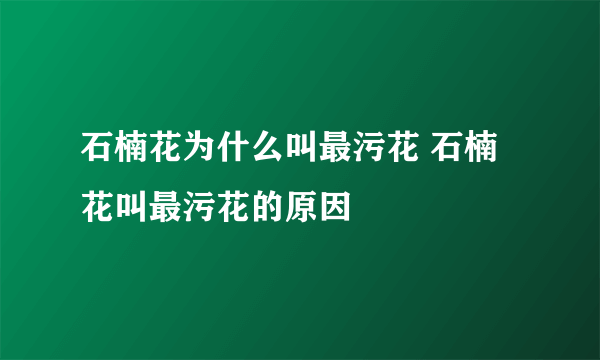 石楠花为什么叫最污花 石楠花叫最污花的原因