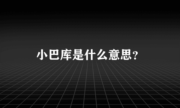 小巴库是什么意思？