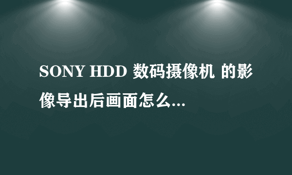 SONY HDD 数码摄像机 的影像导出后画面怎么没有时间日期显示