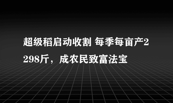 超级稻启动收割 每季每亩产2298斤，成农民致富法宝