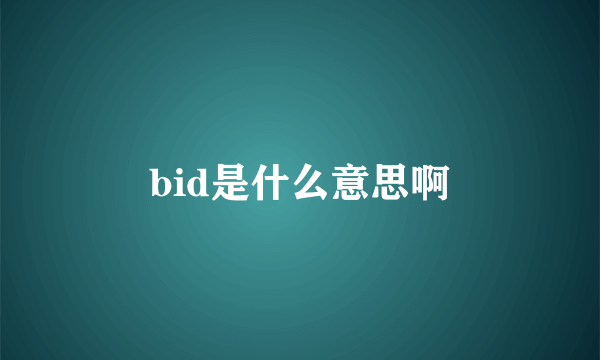 bid是什么意思啊