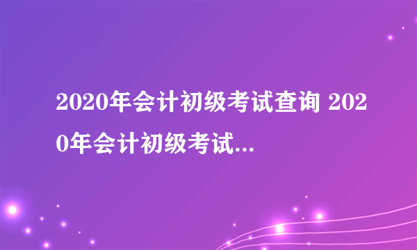 2020年会计初级考试查询 2020年会计初级考试查询成绩）