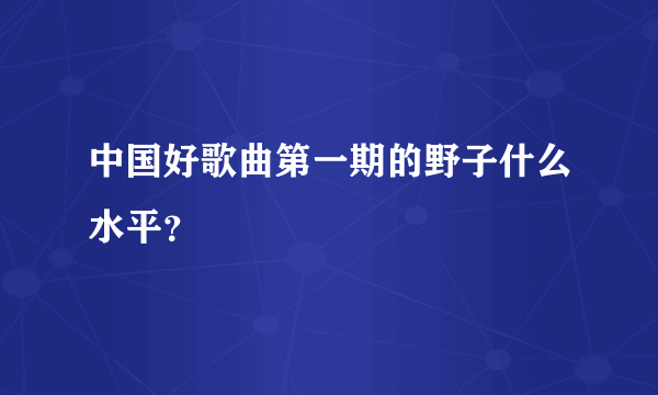 中国好歌曲第一期的野子什么水平？